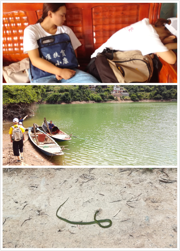 QQ圖片20170725153242lo.jpg
